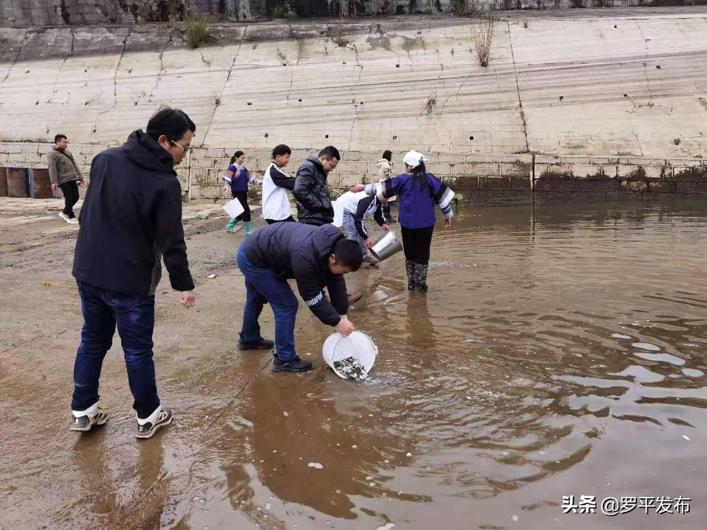 羅平最新房，科技重塑居住未來，引領潮流居住體驗